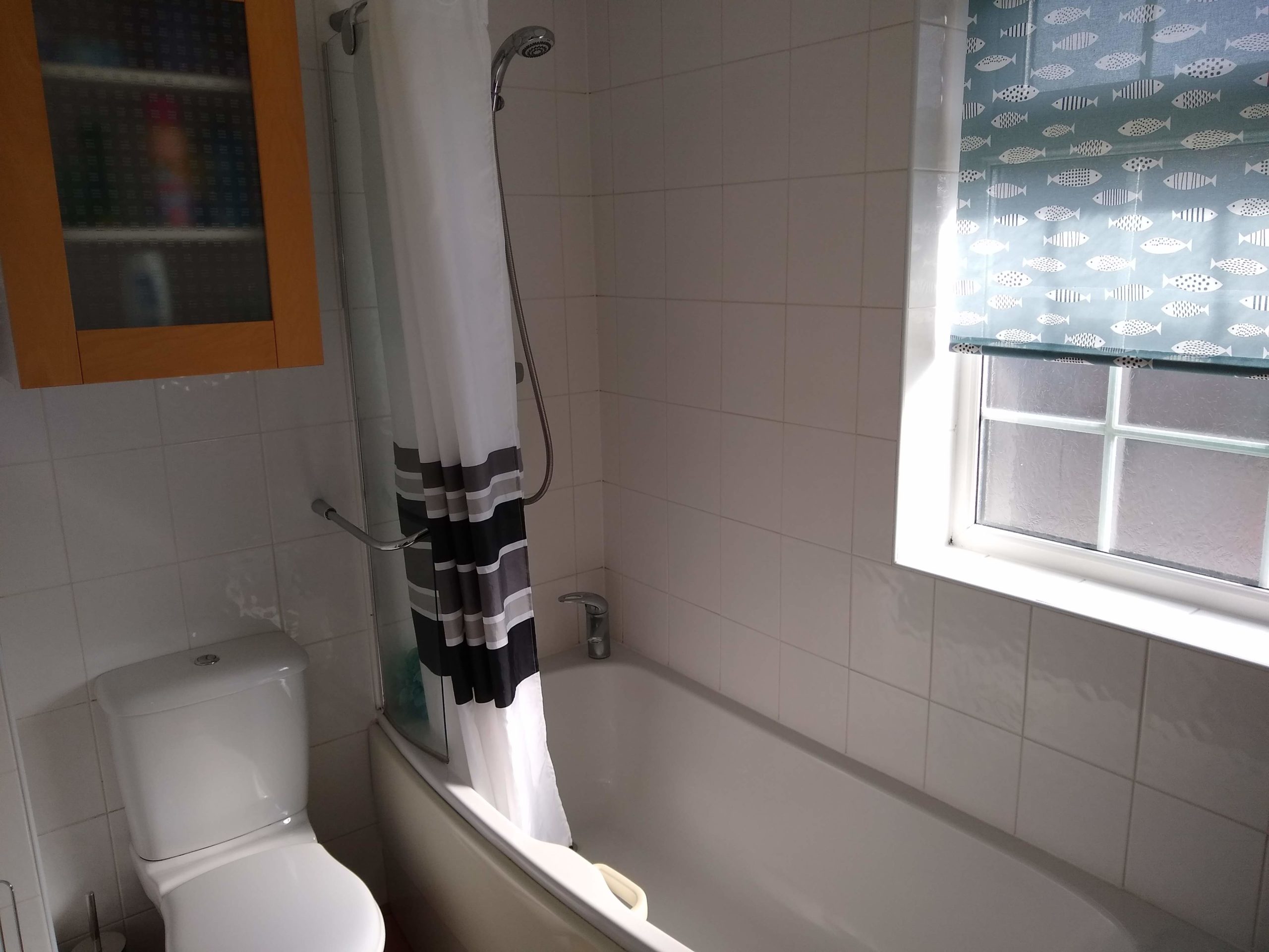 IMG_20210327_095258218