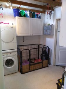 173091197_479602826417238_5782192885276566064_n