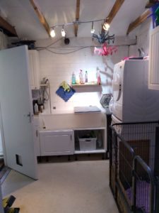 173502497_751068428942753_1543103452904746090_n