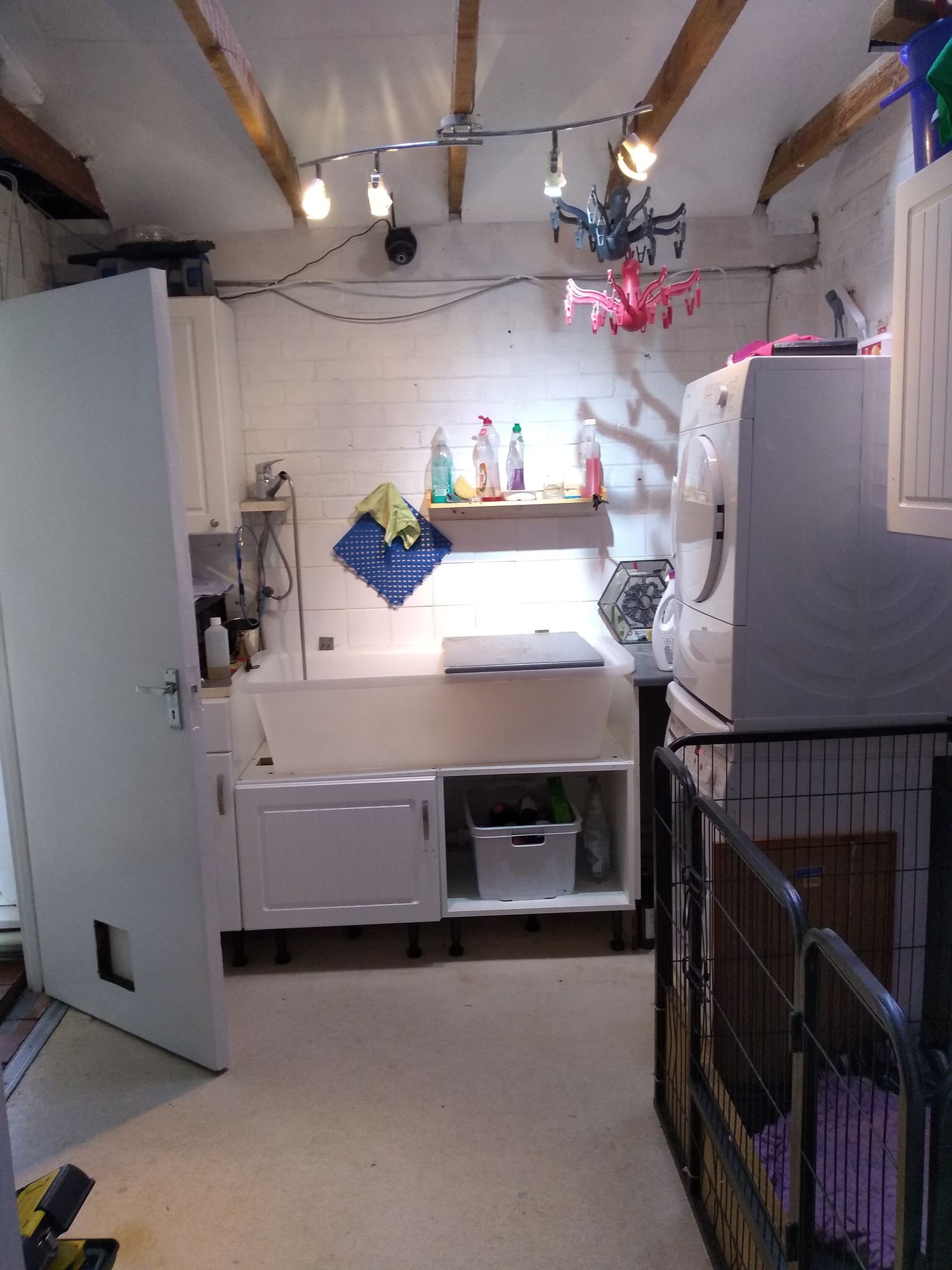 173502497_751068428942753_1543103452904746090_n