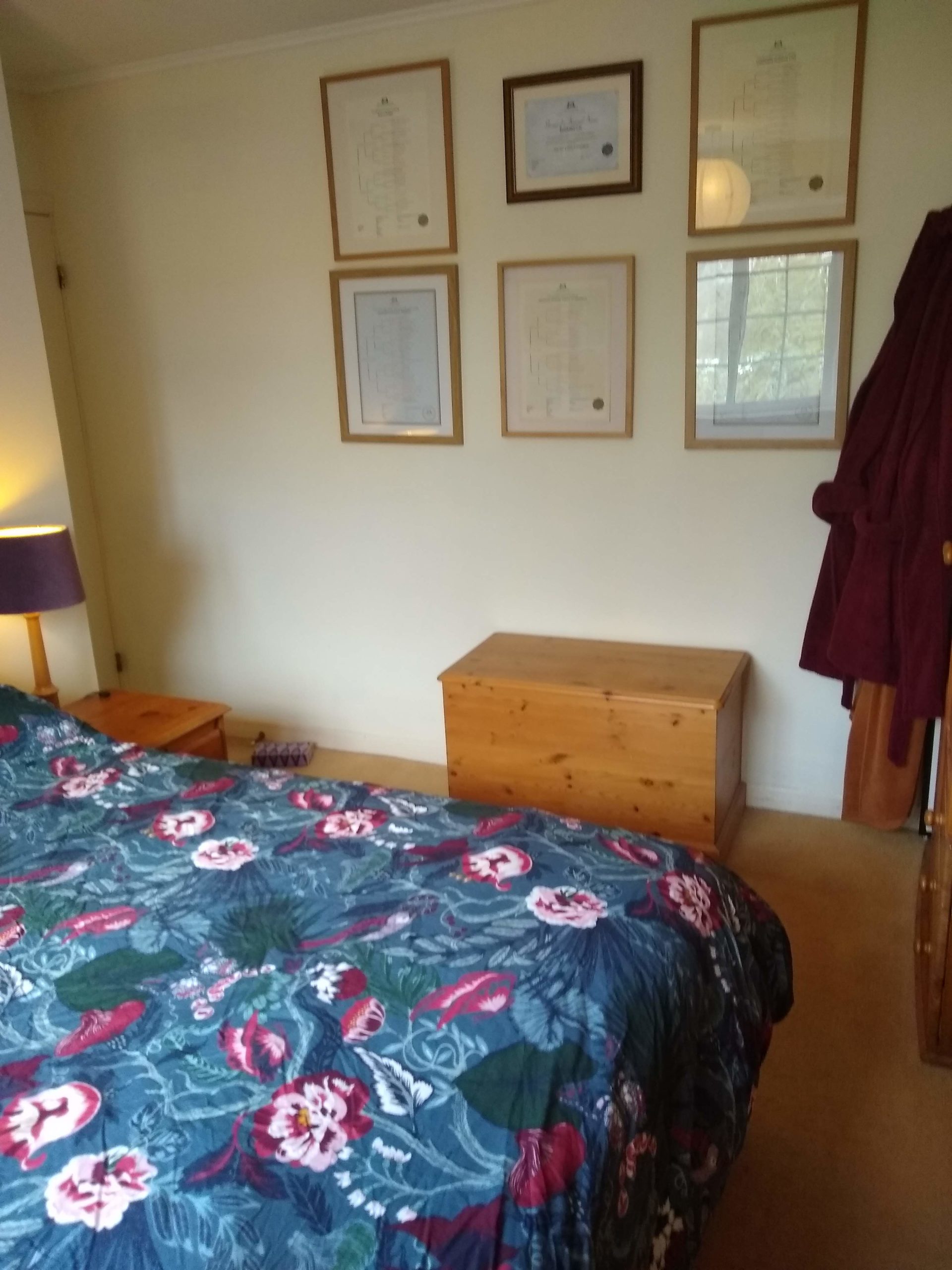 IMG_20210405_112915374