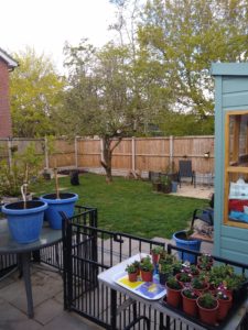 IMG_20210501_103000019