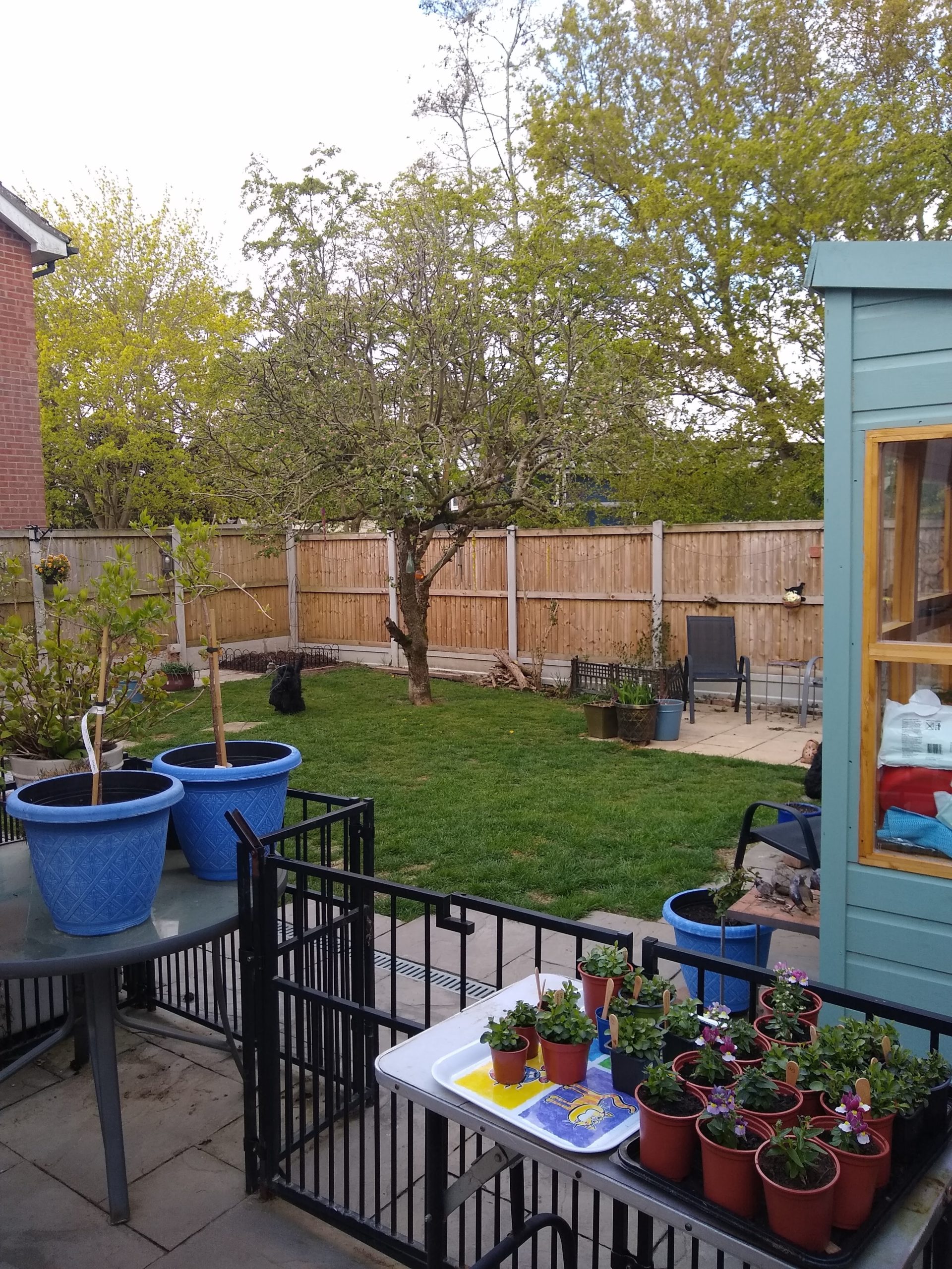 IMG_20210501_103000019